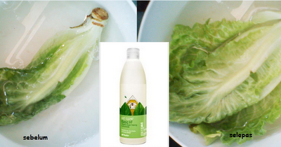 Basic H Barangan Healty Home Yang Paling Saya Suka