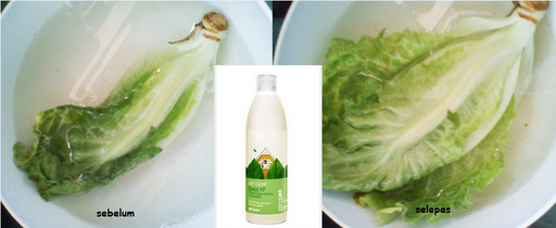Basic H Barangan Healty Home Yang Paling Saya Suka